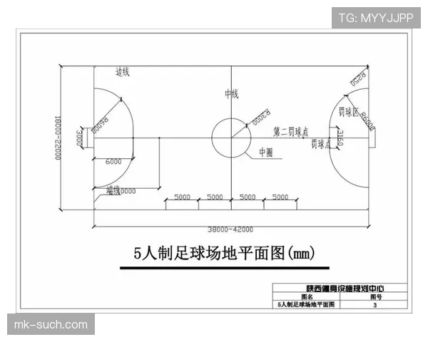 青少年规则:换人次数、比赛时长与场地标准解读 青少年规则:换人次数、比赛时长与场地标准解读